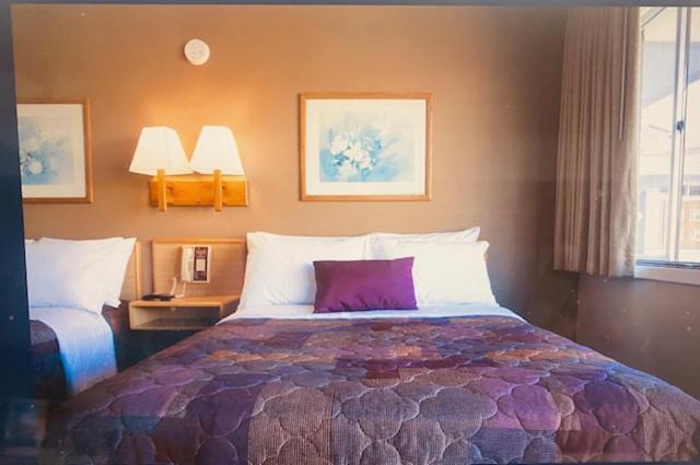 Heart O' Chicago Motel Екстериор снимка